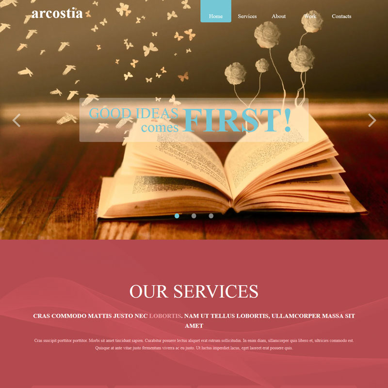 Acrostia website layout previev